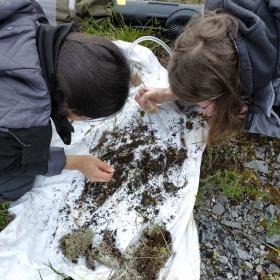 Deux membres de Mission spider à la recherche des araignées de la RNN 